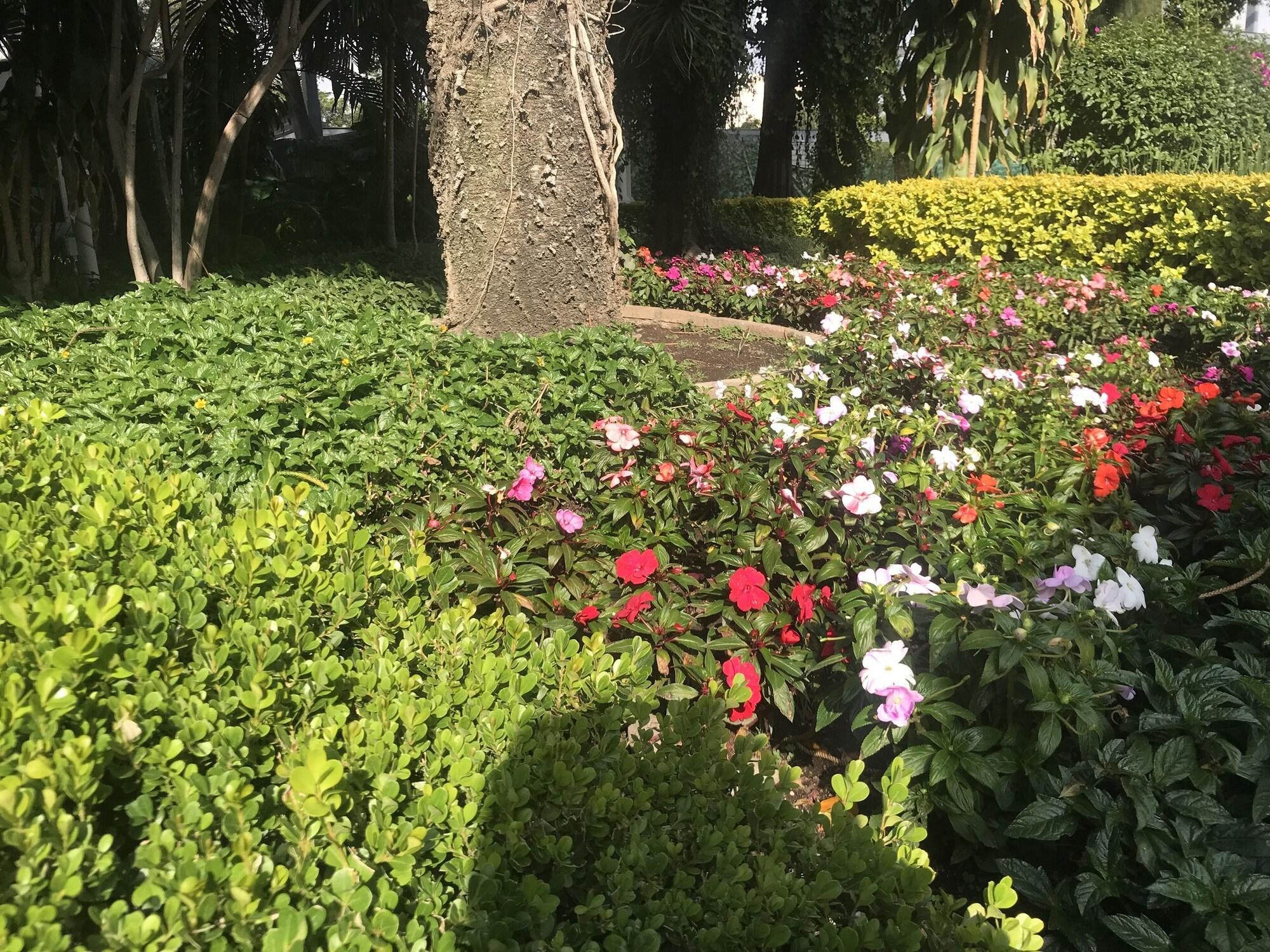 גואדלחארה Hotel Ronda Minerva מראה חיצוני תמונה