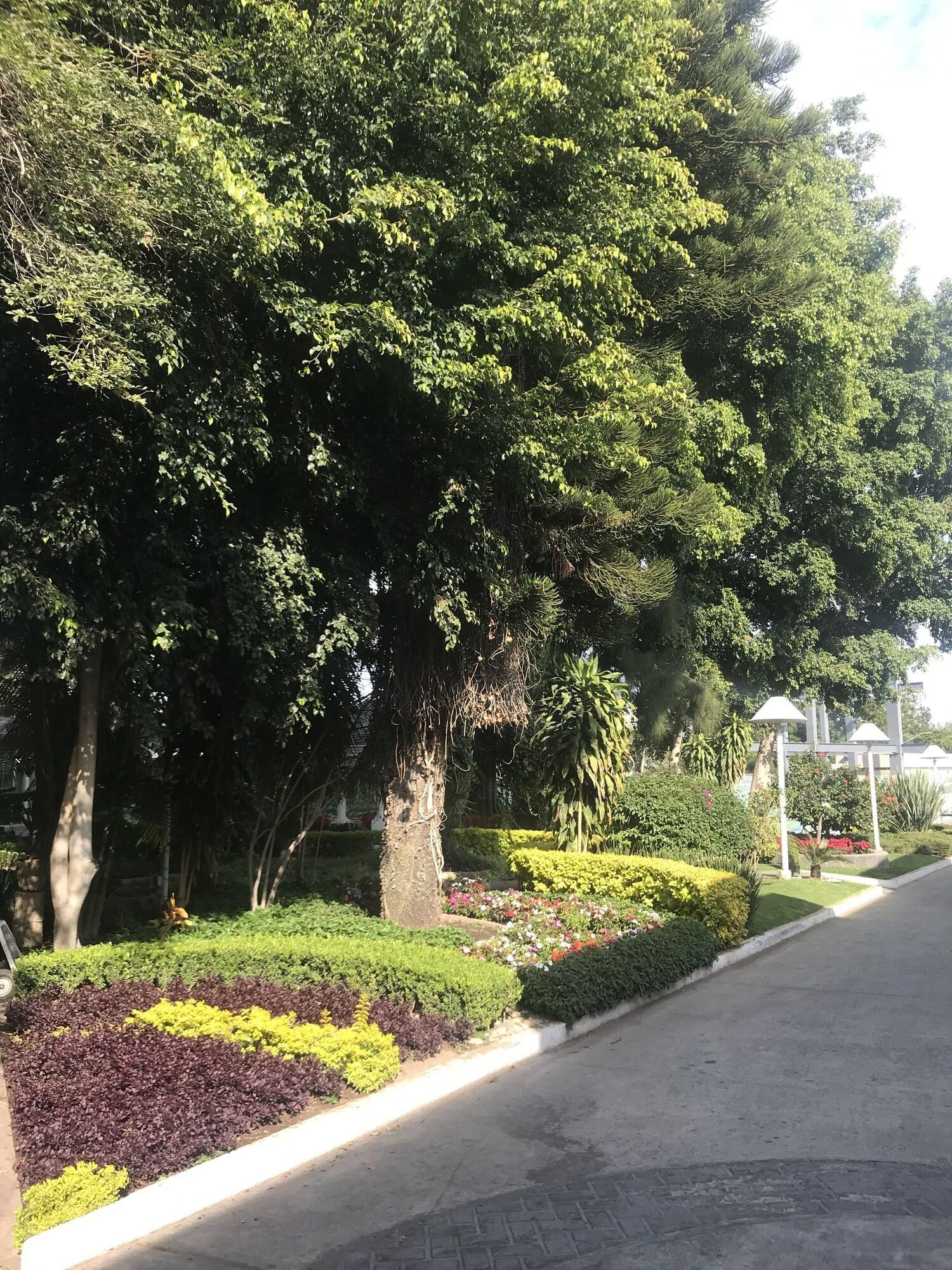 גואדלחארה Hotel Ronda Minerva מראה חיצוני תמונה